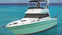 Last Knight - Luxury Fishing (Cozumel and Playa del Carmen)