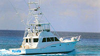Miguelito - Super Luxury Fishing (Cozumel and Playa del Carmen)