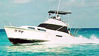 El Viejo - Luxury Fishing (Cozumel and Playa del Carmen)