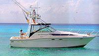 Makaira Cozumel Mexico