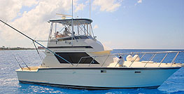 Cozumel Fishing