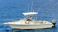 Diana - Economy Fishing (Cozumel)