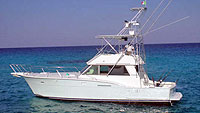 Don Ramon - Luxury Fishing (Cozumel and Playa del Carmen)