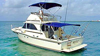 Mirage - Luxury Fishing (Playa del Carmen)