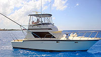 Sea Rose Cozumel Fishing