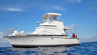 Double Header - Full Size Fishing (Playa del Carmen)