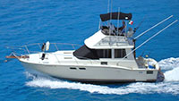 Hi Bob II - Elite Fishing (Playa del Carmen)