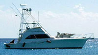 Winning Ticket Charter - Super Luxury Class (Cozumel)