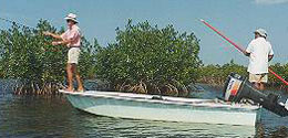 Cozumel Fly Fishing and Bonefishing Trips