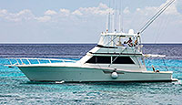 Mimi - Super Luxury Fishing (Playa del Carmen)