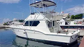 Crysstal Charter - Super Luxury Class (Cozumel)