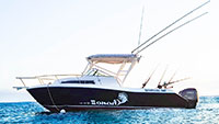 Chono II (Economy - Cozumel)