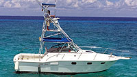 Miss Carabelle - Full Size Fishing (Cozumel) and Snorkeling