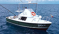 Mr. Green - Full Size Fishing (Cozumel)