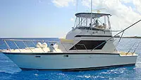 Sea Rose - Super Luxury Class Boat (Cozumel)