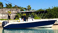 Wahoo - 25' Cobia (Economy - Puerto Aventuras)