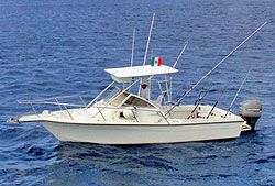 Economy - Fishing Trip Cozumel