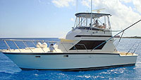 Sea Rose - Luxury Fishing (Cozumel and Playa del Carmen)