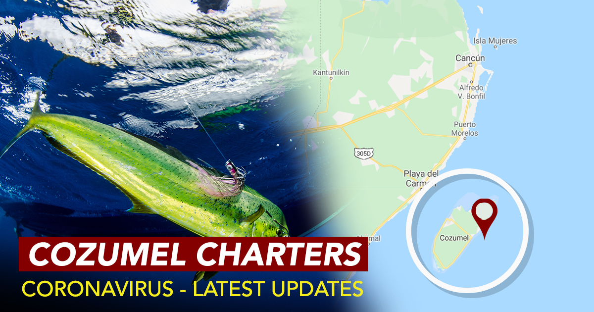Latest Coronavirus Updates in Cozumel Mexico Latest Coronavirus Updates in Cozumel Mexico
