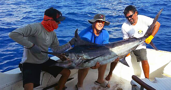 Cozumel Fishing - Deep Sea Sportfishing