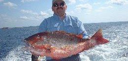 Bottom Fishing Cozumel