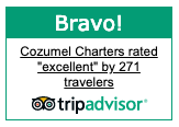 Cozumel Charters Excellence