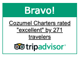 Bravo! Award Cozumel Charters Excellence